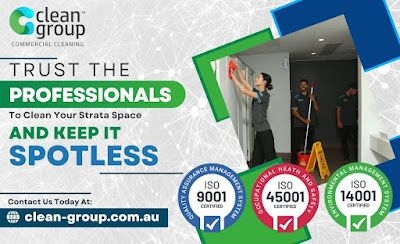 What makes Clean Group a reputable NDIS provider in Sydney?